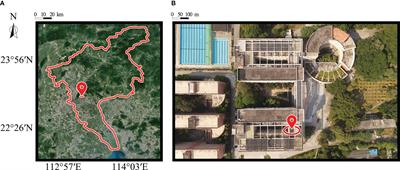 Estimating stomatal conductance of citrus under water stress based on multispectral imagery and machine learning methods